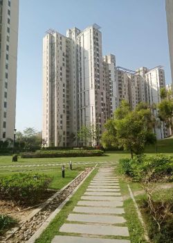 Pulmeria Garden, New Friends Colony, Delhi