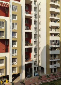 Mahadev Parisar, Sector 13 Kharghar, Navi Mumbai