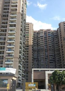 Saviour Greenisle, NH 24 Highway, Ghaziabad