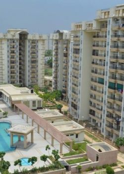 Amrapali Terrace Home, Sector 62 Noida