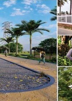 Green Valley, Sector 13 Kharghar, Navi Mumbai