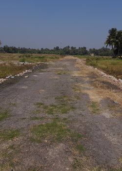 Blue Heaven, Joka, Kolkata