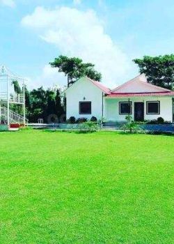 Oasis Green,