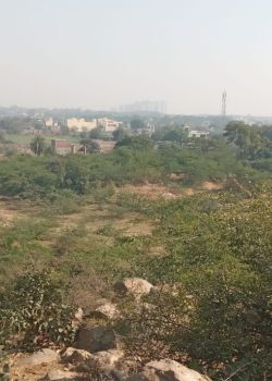 MS Group Dream City, Greater Noida