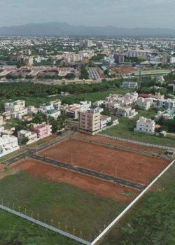 Ashok Lake Avenue, Sector 13 Kharghar, Navi Mumbai