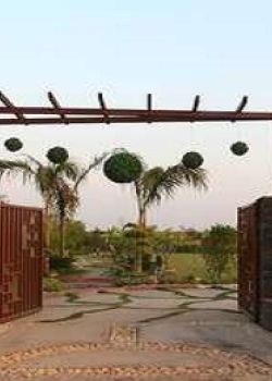 Ecnon Sports Land Farms, Mayur Vihar, Delhi