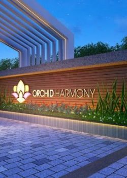 Orchid Harmony,