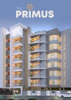 The Primus,