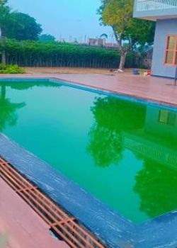 Dlf Spring Field,Kirti Nagar,Delhi