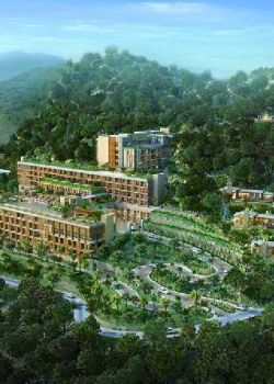 The Amrita Hills,