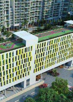 Dlf Colony,
