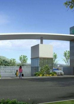 Royal Paradise, Sector 63 Noida