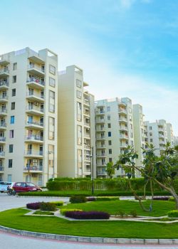 Sushma Joynest Moh 1, Sector 44C Chandigarh