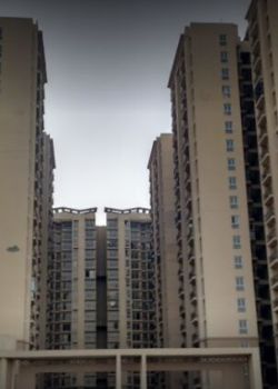 City Apartment, Kirti Nagar, Delhi