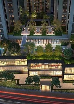 Solus, Elgin Road, Kolkata