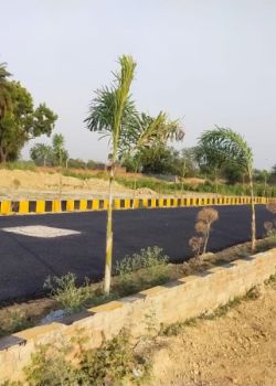 Palm Ville, Kirti Nagar, Delhi