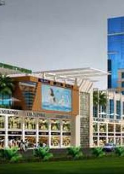 Nimai Place, Sector 29 Gurgaon