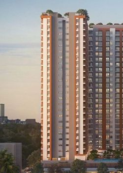 41 Estera,