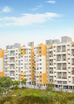 Hollyhock City, Pimple Gurav, Pune