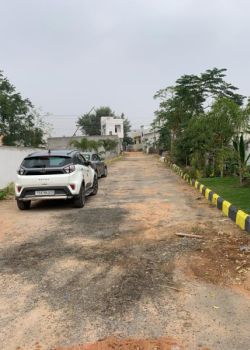 Nature Farms, KPHB 1st Phase, Kukatpally, Hyderabad