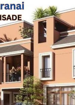 Dac House Of Palisade,
