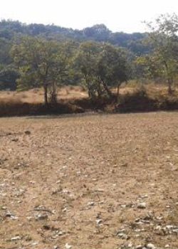 Mangaon, Naupada, Thane