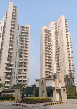 Alpha Gurgaon One, Sector 82 A Gurgaon