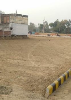 Viva County, Sushant Golf City, Lucknow