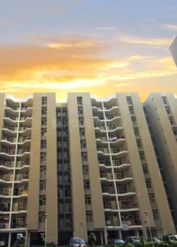 Bdi Sunshine City,Sector 44 Gurgaon