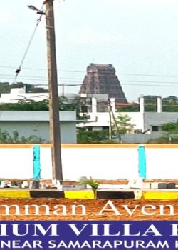 Amman Avenue, Manavasi, Karur