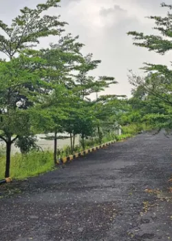 Euphoria Jasmine, Sector 13 Kharghar, Navi Mumbai