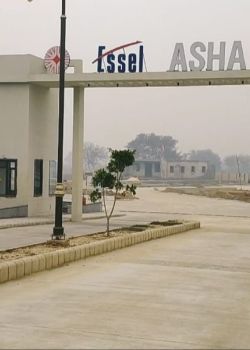 Asha City, Sector 36 Bahadurgarh
