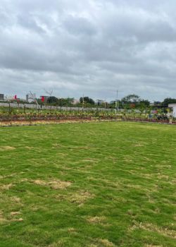 Dream Meadows,Rai Durg,Hyderabad