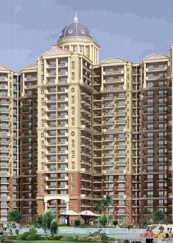 Ambika Florence Park, Sector 44C Chandigarh