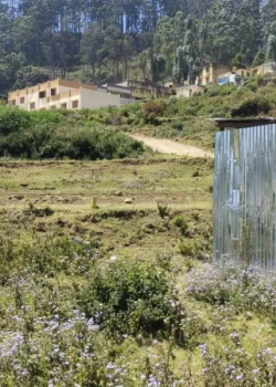 Kodai Green Space, Valasaravakkam, Chennai