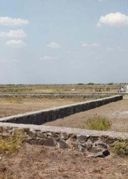 Anjani Residency,