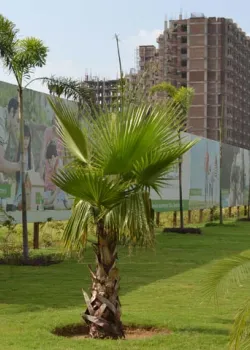 Aqasia Enclave, Connaught Place, Delhi