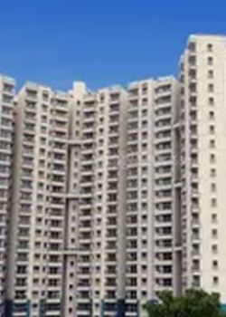 Megapolis Sangria, Camp, Pune