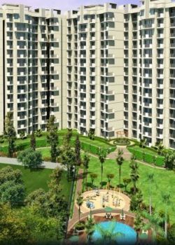 Sanctoria Homes, Sector 13 Kharghar, Navi Mumbai