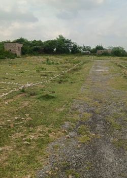 Anusha Valley, Central Area, Udaipur