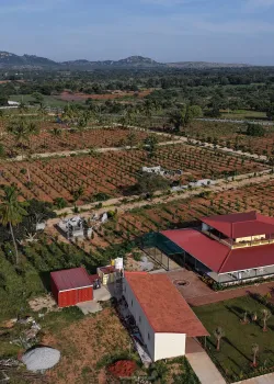 Neralu Farms, Airport Road, Bangalore