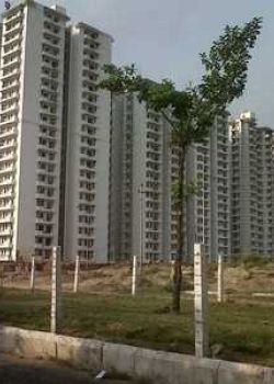 AVJ Heights, Vivek Vihar, Delhi