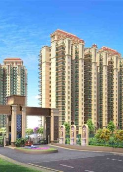 Mexmon Dreams, Urban Estate Phase 2, Jalandhar