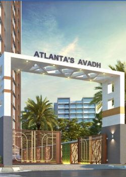 Atlanta Avadh, Piplya Mandi, Mandsaur
