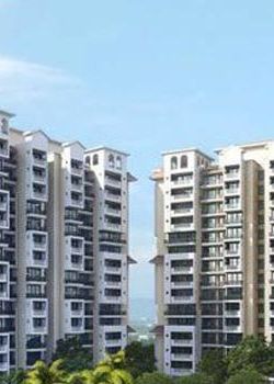 White Lily Residency,Pitampura,Delhi