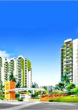Supertech Ecociti,Sector 61 Noida