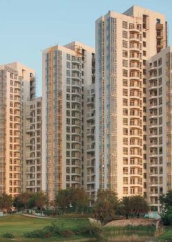 Star Court, Sector 128 Noida