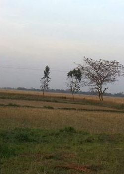 Subhaalaya, Gomti Nagar, Lucknow