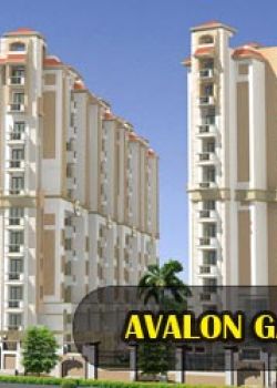 AVALON GARDEN, Sohna Road, Gurgaon