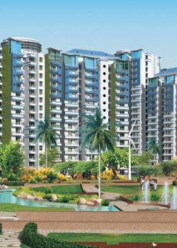 Supertech Emerald Court,Sector 61 Noida